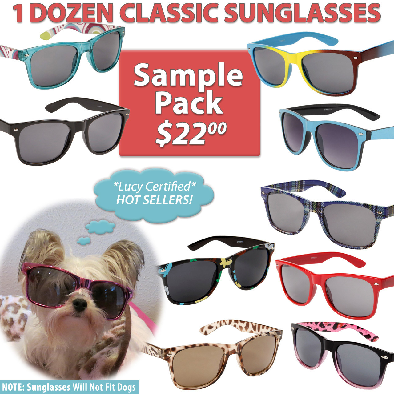 California Classics Sunglasses Sample Pack SPWAY 12 Assorted California Classics Sunglasses (Assorte