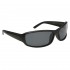 #9418 Polarized Sports Sunglasses Matte Black Frame Color
