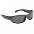 #9518 Polarized Sunglasses Silver Frame Color