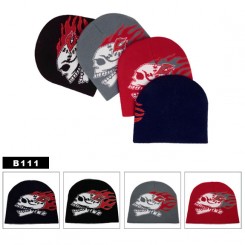 Great Beanie Caps!