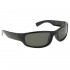 #9518 Polarized Sunglasses Gloss Black Frame Color