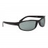 Cheap Wholesale Sunglasses 18908 Gloss Black Frame