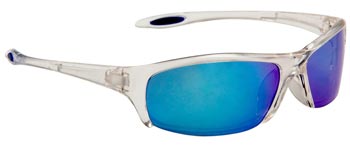 Clear Frame Sunglasses