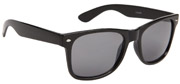 Wayfarer Sunglasses